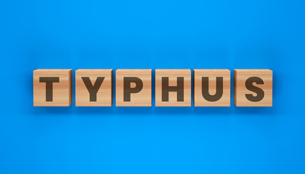 Typhus Word Cubes: A bold typographic representation of Typhus spelled out with wooden letter blocks on a vibrant blue backdrop.