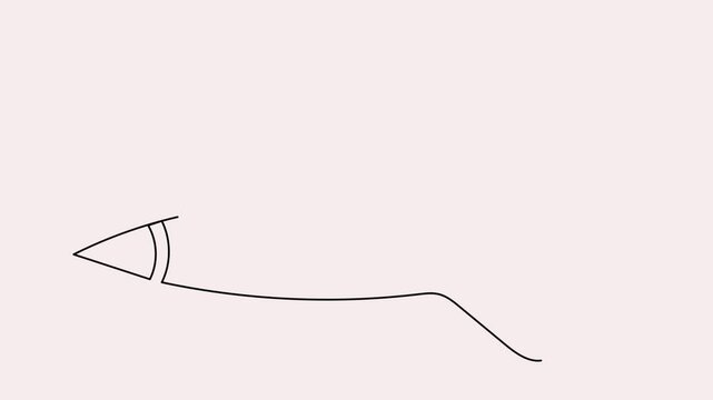 Rocket launch  visualized in a minimalist continuous one line 4K animation video.
