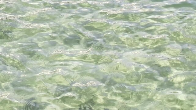 Sunlit shallow water with sparkling reflections, clear ripples and transparent green texture. Calm abstract natural background with shimmering movement in 4K Dolby Vision HDR