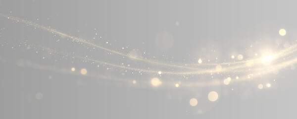 Golden light, sparkling gold lines, and shimmering bokeh on a transparent background. Abstract overlay effect. Glowing bokeh. PNG illustration. © Ihor Nemynushchyi