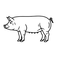 Fototapeta premium Detailed outline of a domestic pig, showcasing its features and form in a side view.