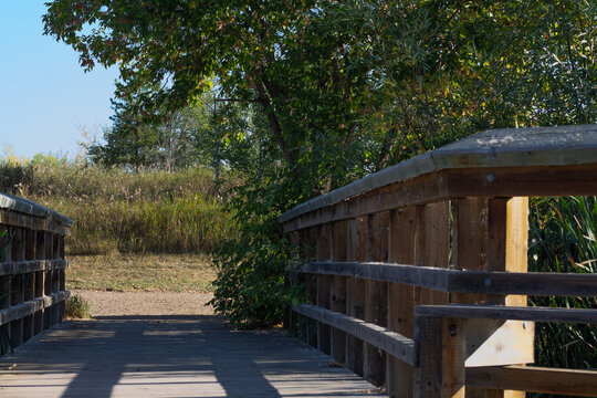 Wooden Bridge In Late Summer Afternoon