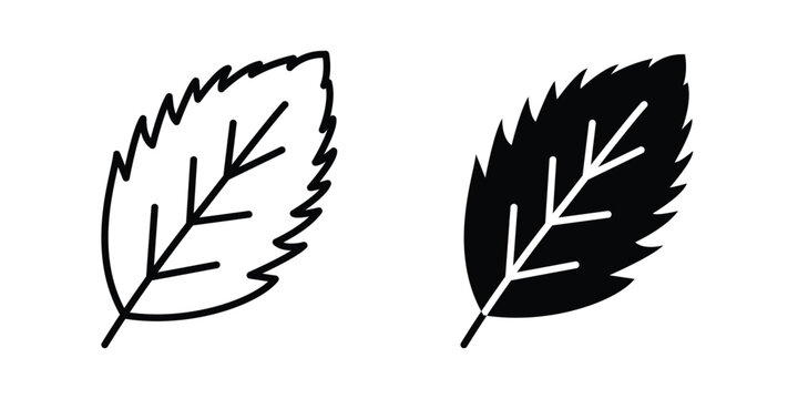 Mint icon - vector illustration eps10