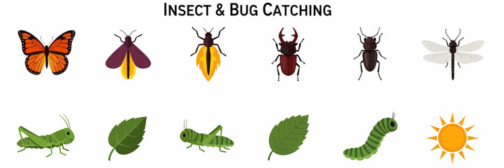 Insects and bugs catching outdoors. © Agung