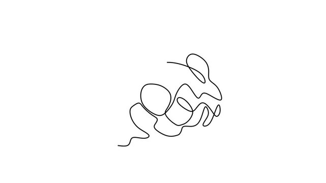 Animated self drawing of continuous line draw of   Raspberry fruit.  Full length one line animation. 4K