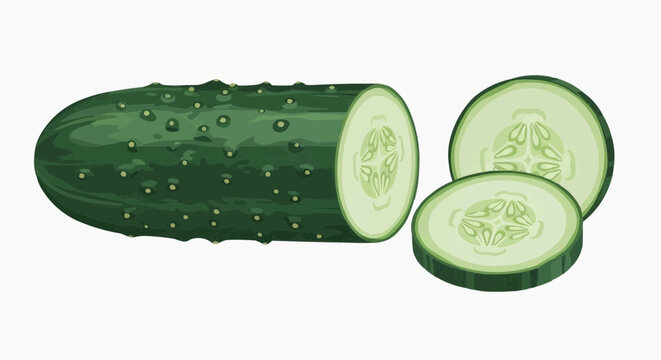 Vector illustration of a cucumber with two slices cut out