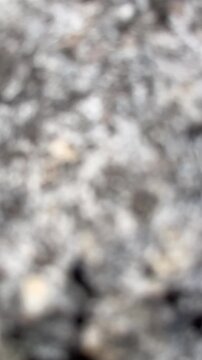 Vertical fast transition of white and grey rock texture background