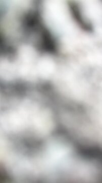 Abstract Black and White Blurred Background Vertical Loop