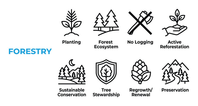 Forestry vector icons set for planting, ecosystem, no logging, and reforestation concepts.
