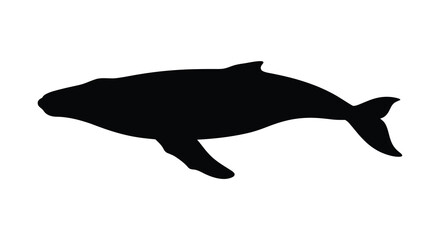 Silhouette of a whale swimming gracefully in dark monochrome style © MSTMAJEDA