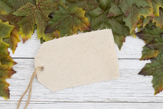 Blank kraft tag with autumn leaves