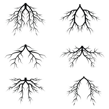 Tree roots vector icon. Silhouette of tree root vector symbol. Vector illustration.