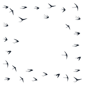 Flying swallow birds silhouettes vector illustration. Nomadic martlets group isolated on white. Winged flying swallows line art. Small birds in sky graphic design. Fauna background.