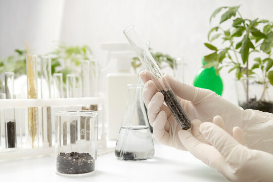 Organic farming research concept, lab technician using eco-friendly pesticide spray on soil sample, studying sustainable crop protection and green agriculture