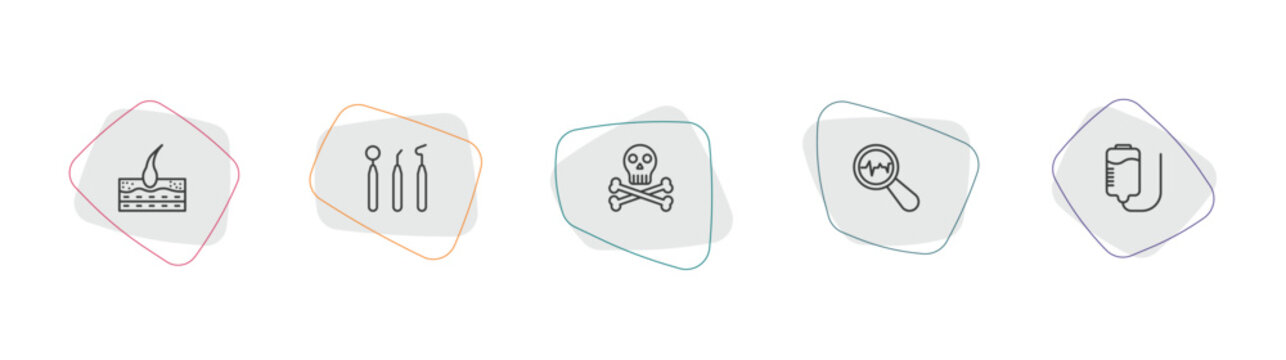 medical outline icon set. linear vector for ui, web and mobile. thin line epidermis, dentist tool, skull and bone icons.