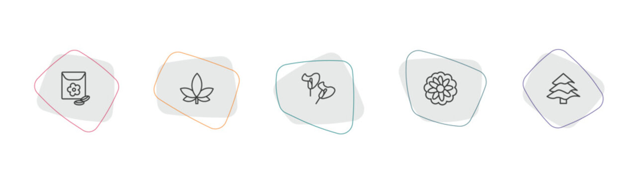 nature outline icon set. linear vector for ui, web and mobile. thin line flower seeds, hemp, calla icons.