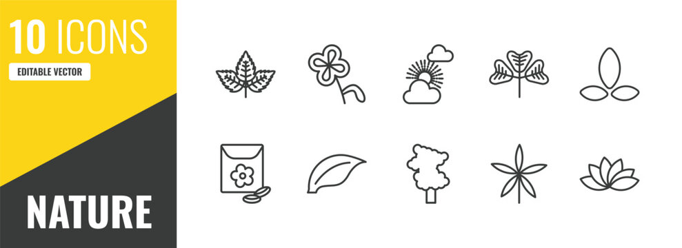nature outline icon set. 10 linear vector for ui, web and mobile. thin line straberry leaf, floral decorations, sunny protic icons.