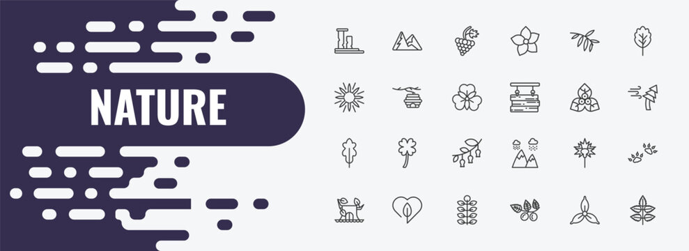 nature outline icon set. linear vector for ui, web and mobile. thin line snowed mountains, grapevine, black willow icons.