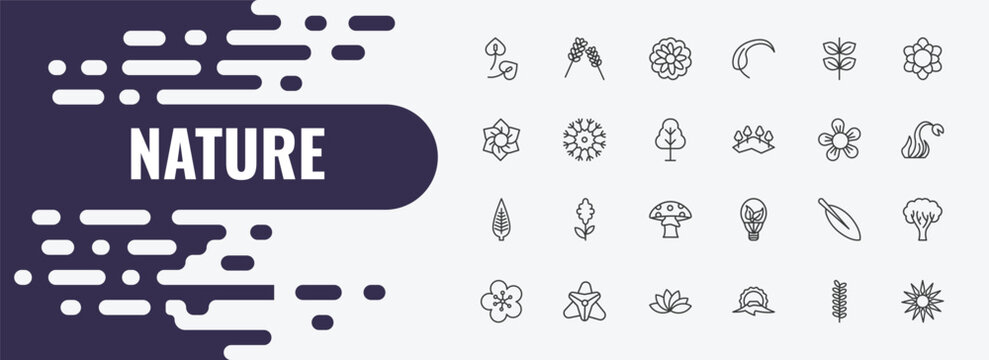 nature outline icon set. linear vector for ui, web and mobile. thin line lavender, astrantia, pinnate icons.