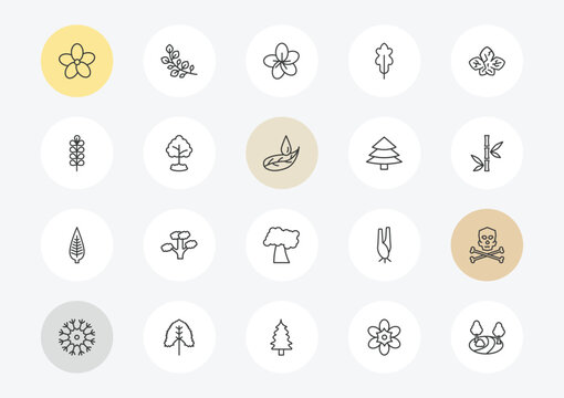 nature outline icon set. linear vector for ui, web and mobile. thin line oleander, pecan leaf, lanceolate icons.