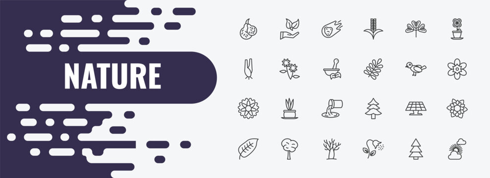 nature outline icon set. linear vector for ui, web and mobile. thin line conservation, asteroids, trifoliate ternate icons.