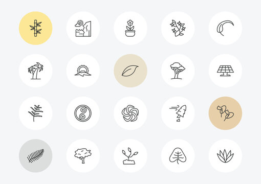 nature outline icon set. linear vector for ui, web and mobile. thin line bamboo plant from japan, coconut tree standing, cypress leaf icons.