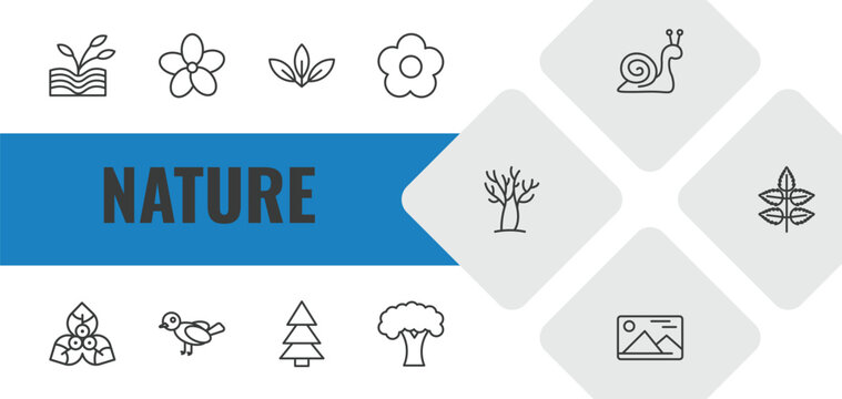 nature outline icon set. linear vector for ui, web and mobile. thin line plant growing on book, oleander, acicular icons.