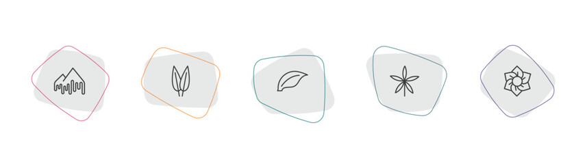 nature outline icon set. linear vector for ui, web and mobile. thin line melting, lemon leaf, element icons. © Farahim