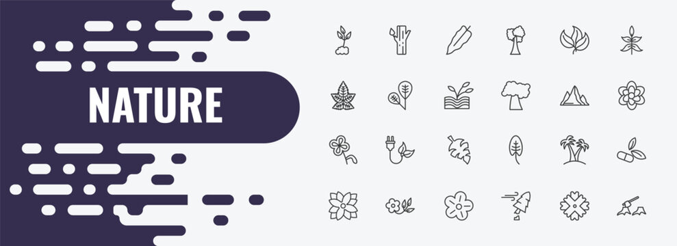 nature outline icon set. linear vector for ui, web and mobile. thin line trunk, philodendron, green icons.