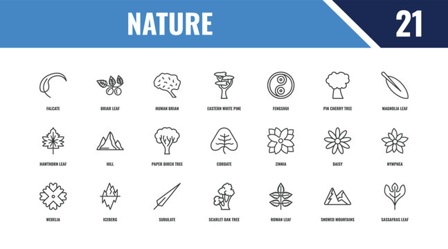 nature outline icon set. linear vector for ui, web and mobile. thin line briar leaf, magnolia leaf, zinnia icons.