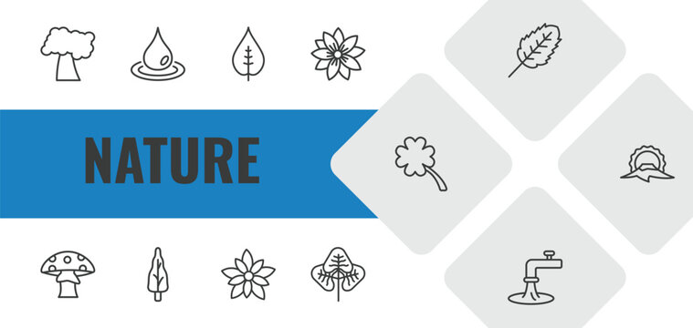 nature outline icon set. linear vector for ui, web and mobile. thin line black cherry tree, raindrop, nut leaf icons.