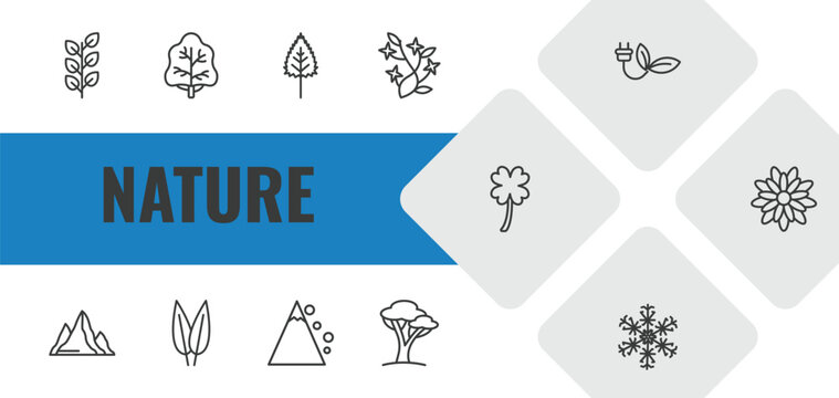 nature outline icon set. linear vector for ui, web and mobile. thin line bilberry leaf, white ash tree, birch leaf icons.