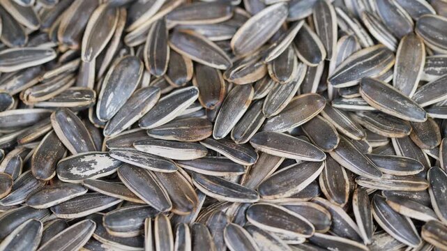 Detailed view of salted roasted sunflower kernels. An intricate topdown shot highlighting natural sunflower seed textures with salted seasoning for culinary display