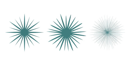 Fototapeta premium Teal abstract burst shapes icons.