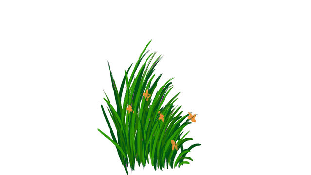 grass