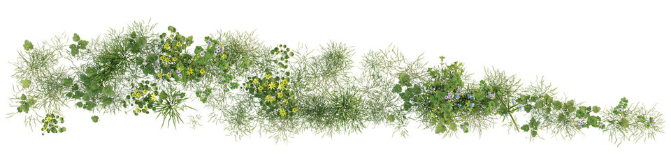 Top View of Vegetation Border with Grass and Small Plants Isolated on Transparent Background. 3D rendering. © snesivan