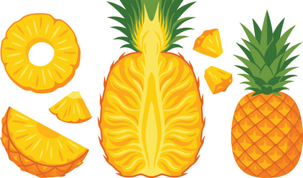 Pineapple Fruit Set with Whole Pineapple, Half Cut, Slices, Rings and Chunks in Bright Flat Vector Illustration Style