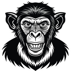 Obraz premium Set of different monkey silhouettes isolated on white background. Capuchin monkey and chimpanzee hanging, sitting and running