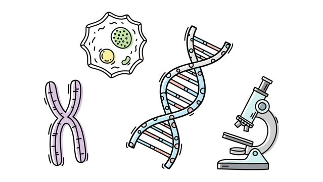 Science Illustration: A vibrant scientific illustration showcasing a DNA strand, a microscopic cell, an examining microscope, and a chromosome.