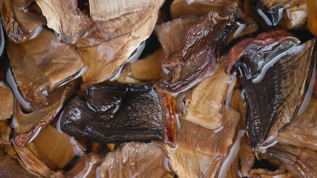 Dried fungi rehydration. Preparing dried mushrooms for cooking. Rehydrating dried mushrooms in bowl for flavoring. Home cook soaks dried mushrooms to enhance flavorful broth