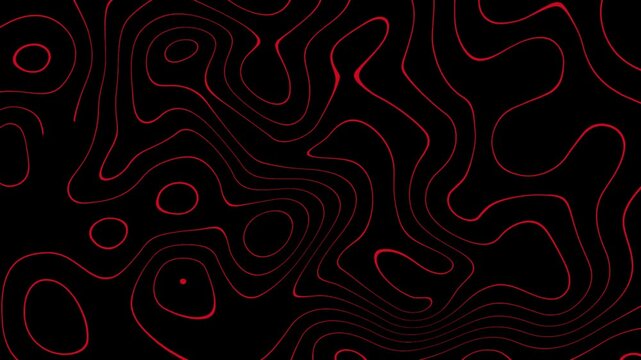 Abstract Red Topographic Wave Lines on Black Background - Seamless Loop