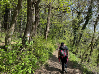 Fototapeta premium Mountaineering trails on Mount Kalnik / Trails for walking and recreation in the significant landscape of Kalnik, Croatia (Planinarske staze na Kalniku / staze za šetnju i rekreaciju na planini Kalnik