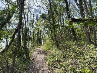Obraz premium Mountaineering trails on Mount Kalnik / Trails for walking and recreation in the significant landscape of Kalnik, Croatia (Planinarske staze na Kalniku / staze za šetnju i rekreaciju na planini Kalnik