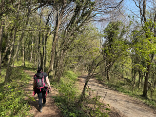 Fototapeta premium Mountaineering trails on Mount Kalnik / Trails for walking and recreation in the significant landscape of Kalnik, Croatia (Planinarske staze na Kalniku / staze za šetnju i rekreaciju na planini Kalnik