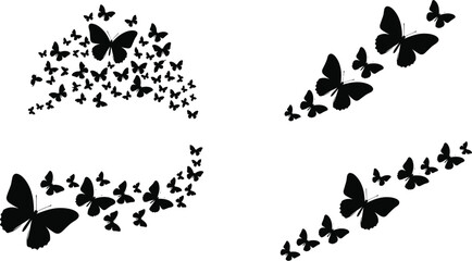 Obraz premium Collection of black butterfly silhouettes flying in swarms and curved paths isolated on white background for decorative graphic design elements