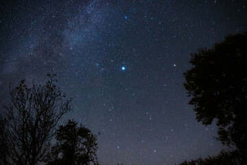 Fototapeta premium Milky Way stars with countryside tree and landscape silhouettes.