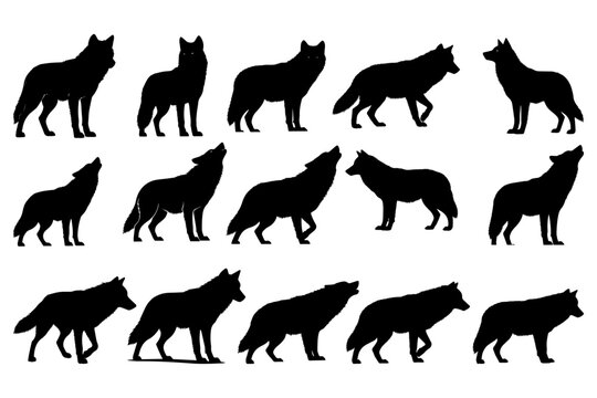 Wolf Wild Animal Vector Silhouette Poses Set Illustration