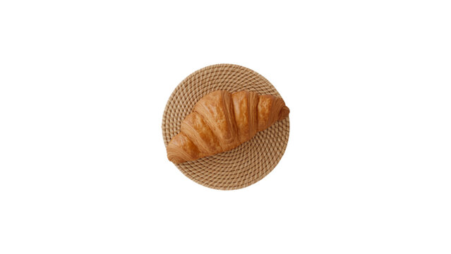Close-up of a small wooden nut or bolt with a round head Vector