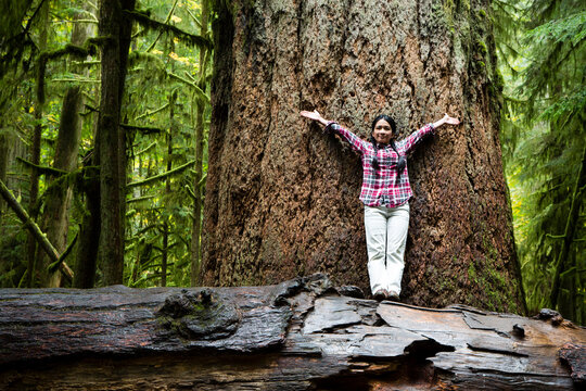 Tourist MacMillan Provincial Park Forest Grove Vancouver Island