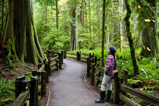 Tourist MacMillan Provincial Park Forest Grove Vancouver Island